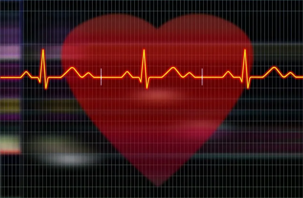brisk walking as a cardio workout for a healthy heart
