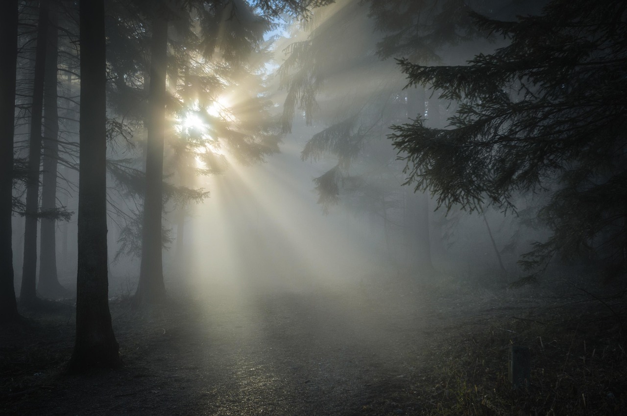 simple morning habits for better health and wellness