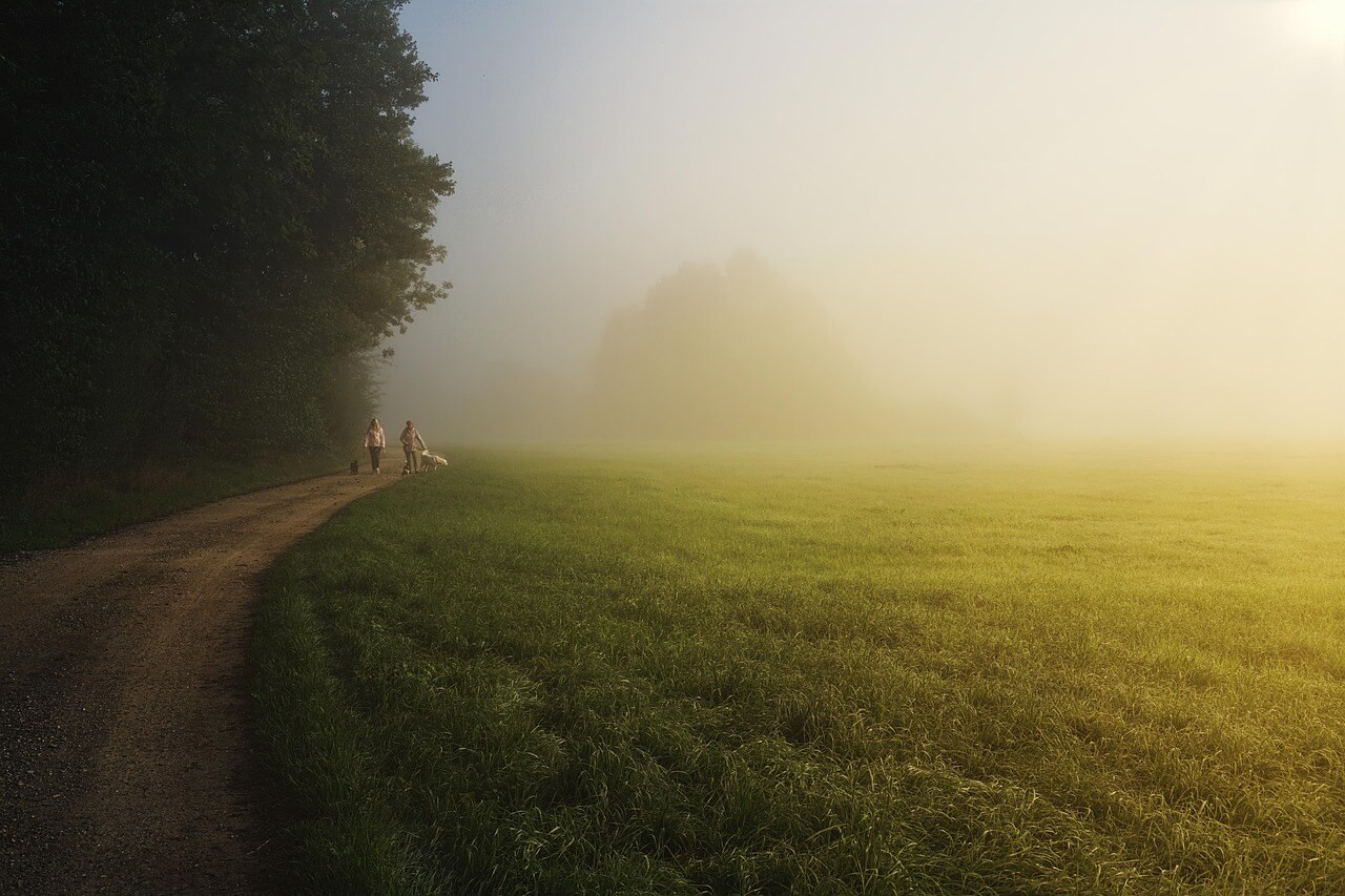 Best time to walk morning vs evening for a healthy lifestyle