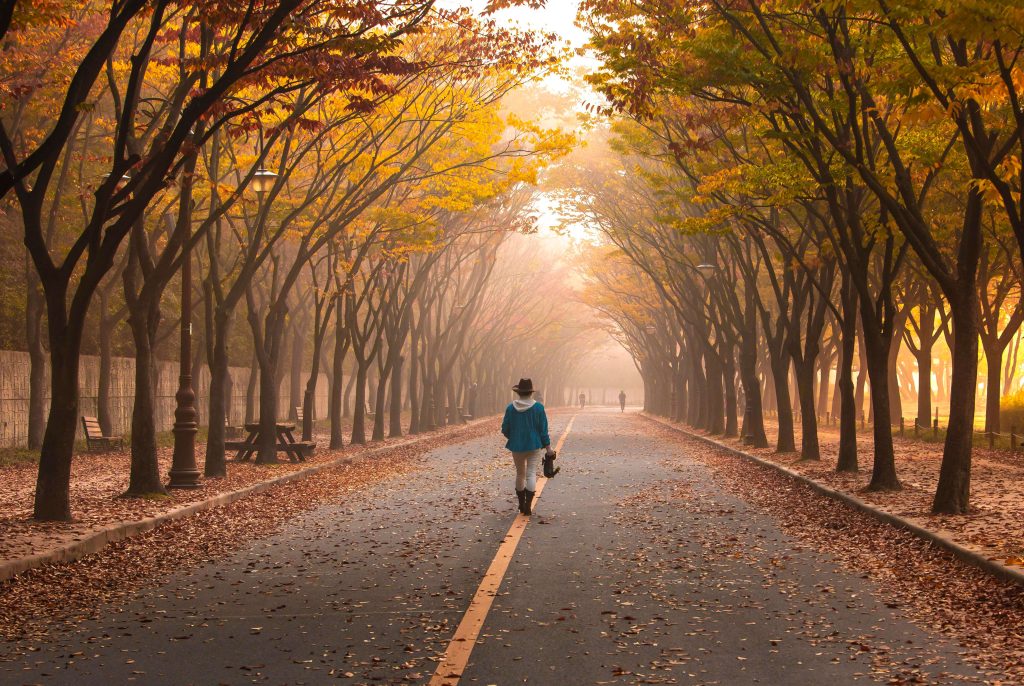 Daily thirty minute walking routine for weight loss