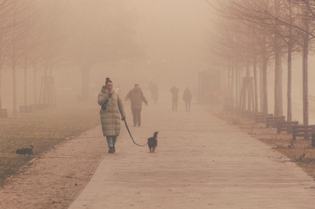 A woman walking her dog along a path on a foggy morning to burn calories.
